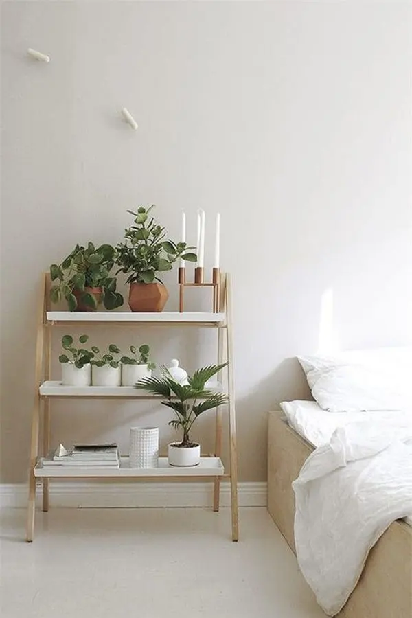 Đưa mảng xanh vào môi trường sống sẽ là xu hướng nổi bật trong năm 2019