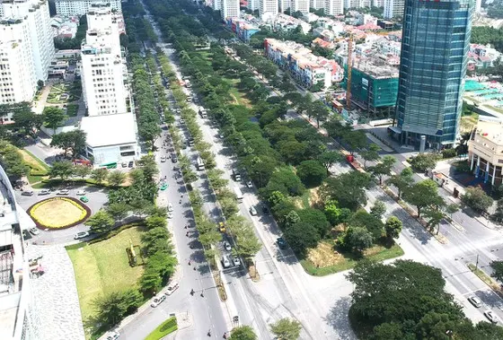 Nhiều vướng mắc trong quản lý cây xanh đô thị