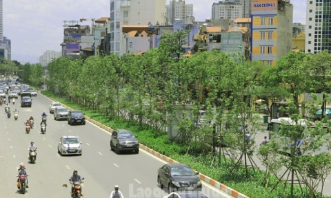 Hà Nội: Tiếp tục mở rộng diện tích cây xanh