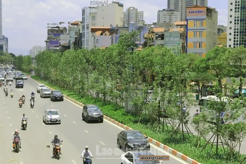 Hà Nội: Tiếp tục mở rộng diện tích cây xanh