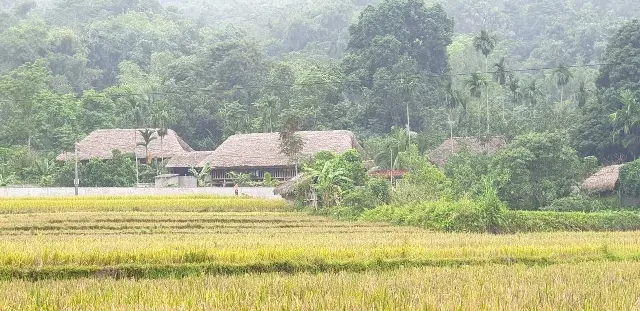 image_gallery