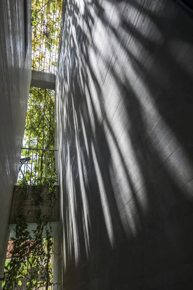 Breathing-House-14-1
