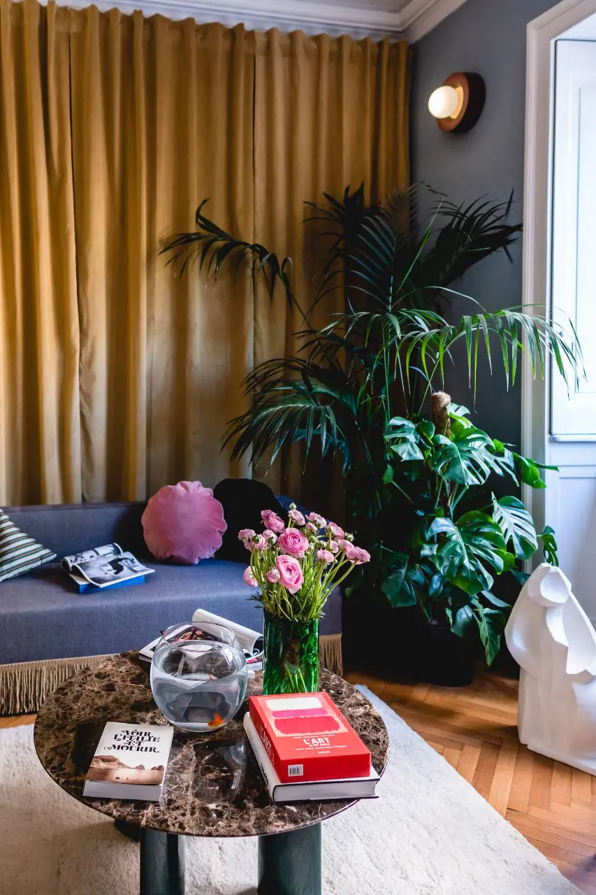 Những loại cây tán rộng thích hợp trang trí trong nhà