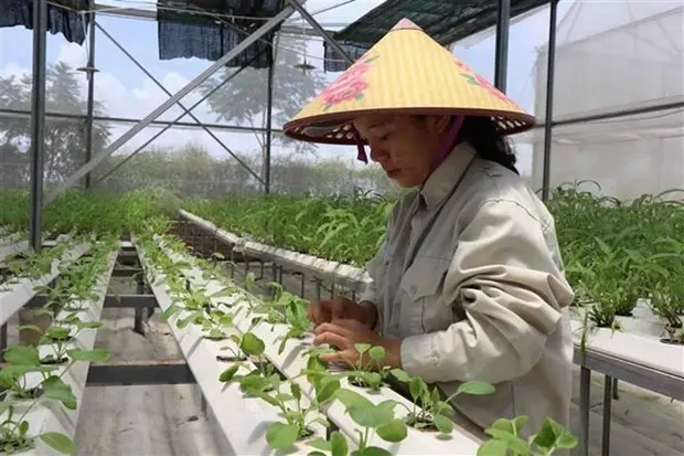 Đề xuất bộ tiêu chí môi trường trong xây dựng nông thôn mới sau 2020