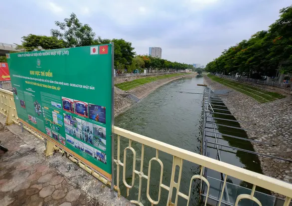 Vụ sông Tô Lịch, chủ tịch Hà Nội: Không để một ai vào đây làm trò đùa cho cả thiên hạ