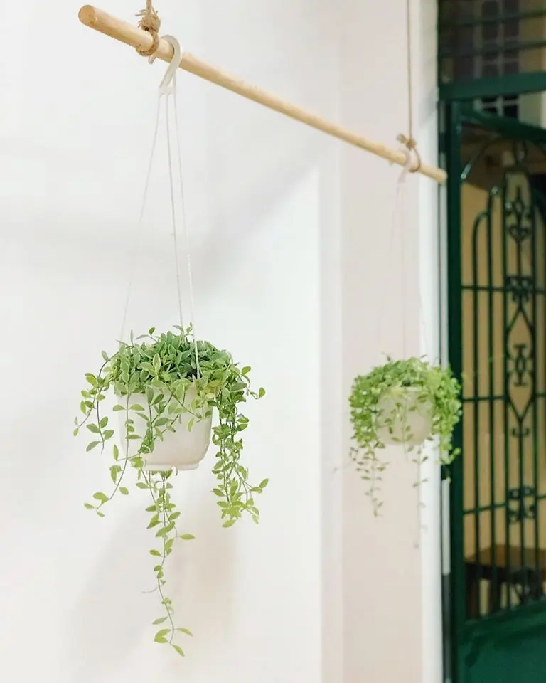 Khéo chọn một chút thì màu trắng hoàn toàn là một màu sơn tường hoàn hảo (Ảnh: Trang Trần)