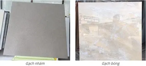 vlxd_org_gach5 (1)