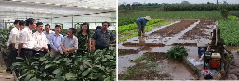 Hình 3 : Mô hình trồng hoa lan công nghệ cao tại xã Thụy Hương 2016 và cánh đồng manh mún tưới nước bằng giếng khoan của gia đình bà Hương,cũng tại xã Thụy Hương (trích trong VIDEO chiếu trong Hội nghị Nông Nghiệp tại Lâm Đồng ngày 30/7/2018)