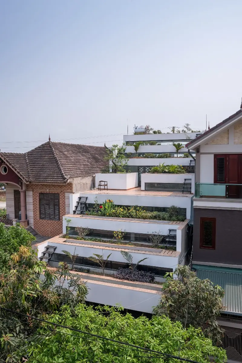 Ngoài trồng rau, chủ nhà trồng hoa và các loại cây cảnh giúp cho ngôi nhà trở nên sinh động hơn