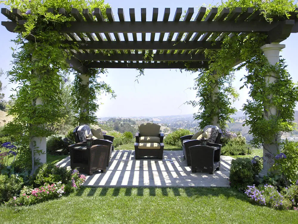 7 thiết kế mái che pergola làm điểm nhấn cho không gian sân vườn