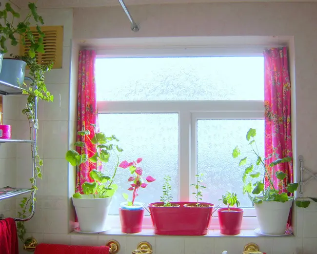 Một góc nhỏ của phòng vệ sinh cũng có thể bừng sắc màu được lắp đặt thêm rèm, đặt thêm vài chậu cây tone sur tone