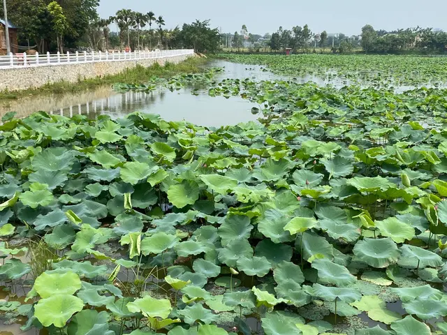 Vùng ven Thủ đô có quỹ đất rộng, cảnh quan thiên nhiên sinh thái cuốn hút giới nhà giàu mua nhà đất làm của để dành, làm ngôi nhà thứ hai