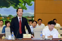 Siết phân lô bán nền, Bộ trưởng Bộ Xây dựng lên tiếng