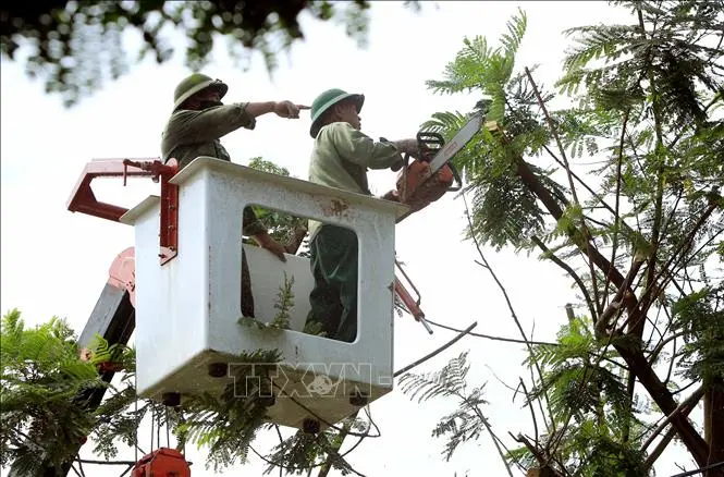 Lấp khoảng trống trong quản lý cây xanh ở trường học
