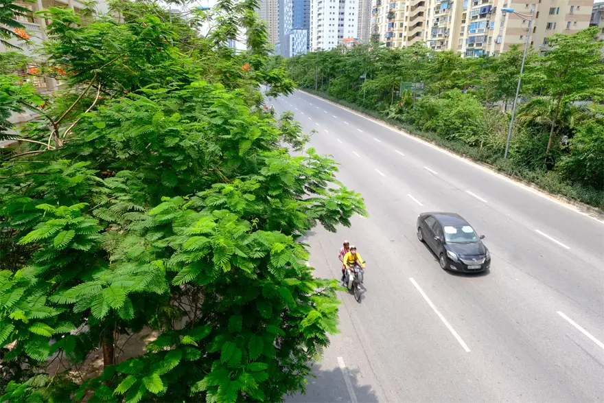 Hà Nội phát triển hệ thống cây xanh: Làm dày thêm “tấm lá chắn” bảo vệ môi trường