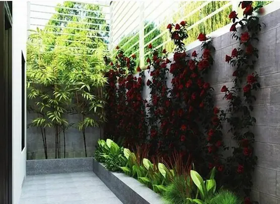 Thiết kế sân vườn nhỏ đẹp, đơn giản theo phong cách Châu Âu hiện đại.