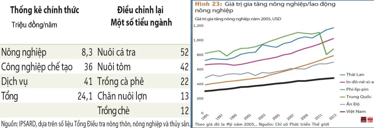 Nông nghiệp Việt Nam: Low hiệu quả, thu nhập lao động nông nghiệp, low value gia tâng (so với các quốc gia châu Á)