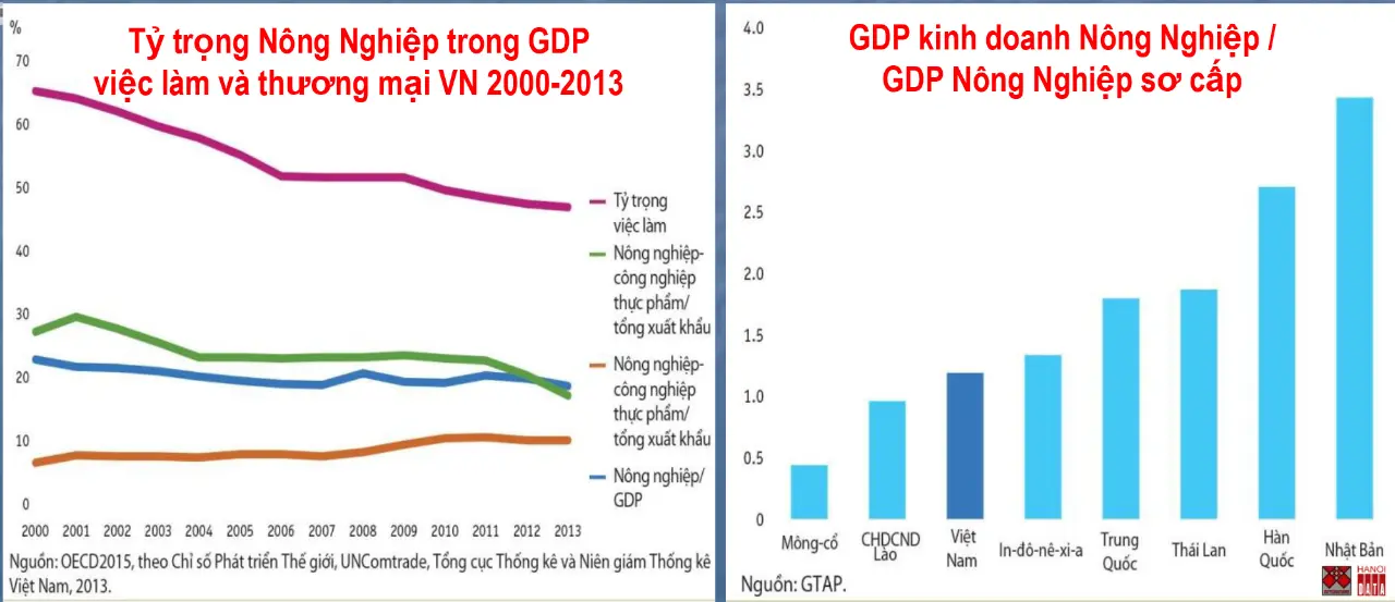 Nông nghiệp Việt Nam phát triển không vững chắc