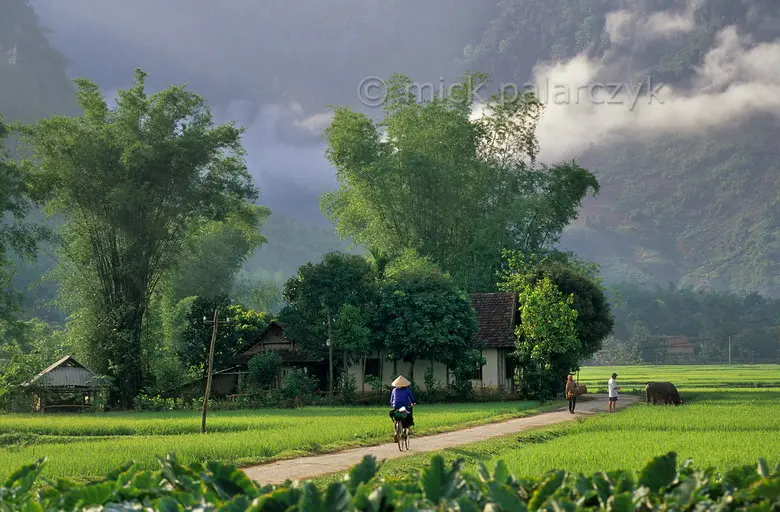 Giải pháp quy hoạch thiết kế khu dân cư mới với việc gìn giữ giá trị văn hóa truyền thống