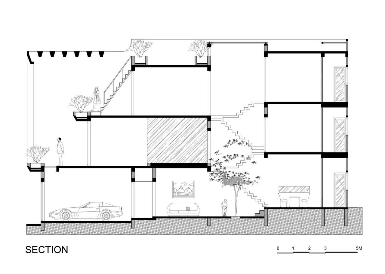SECTION (1)