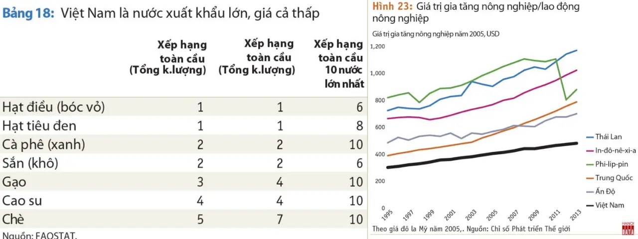 Nông sản Việt Nam xuất khẩu nhiều nhưng giá còn thấp, trị giá gia tăng/lao động nông nghiệp cũng vậy