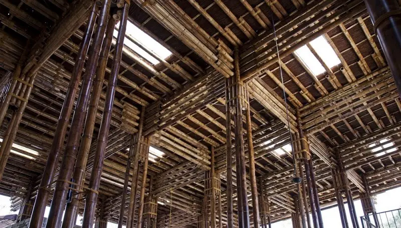 Những cọc tre đã qua xử lý ngâm bùn và hun khói, do vậy nó sẽ được bảo vệ khỏi mối mọt, sâu, bướm qua thời gian