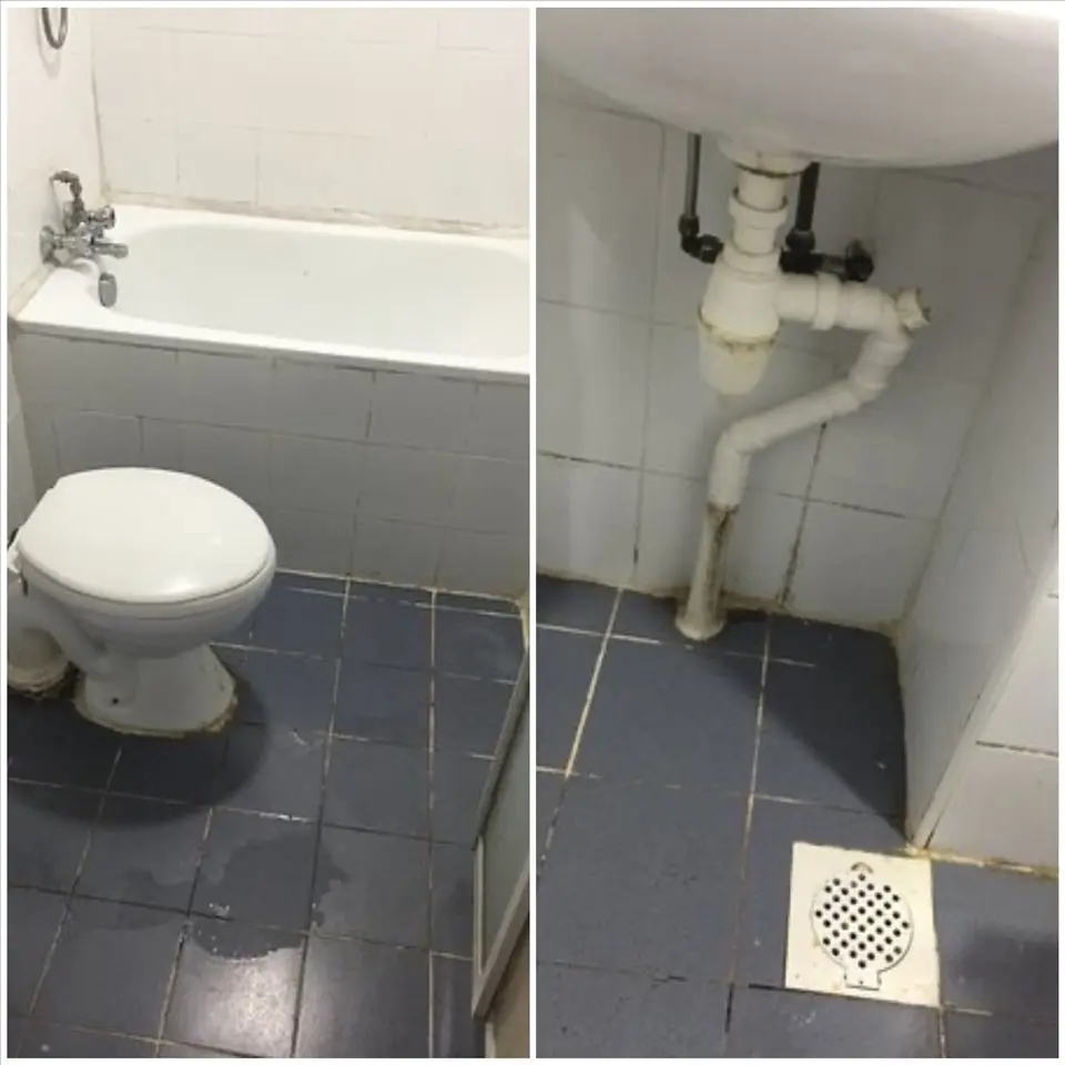 Phòng tắm sạch phụ thuộc nhiều vào loại gạch cũng như người sử dụng có chịu khó vệ sinh hay không