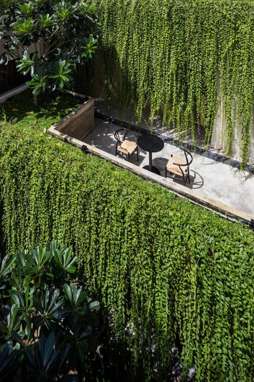 Không gian thưởng trà và cafe mỗi sáng được “bao bọc” bởi hệ cây xanh dịu mát