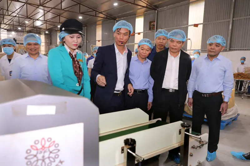 Ông Nguyễn Quế Anh (thứ 4, từ phải qua), Chủ tịch HĐQT Công ty Quế hồi Việt Nam giới thiệu mô hình hợp tác xã liên kết sản xuất - tiêu thụ sản phẩm quế tại huyện Chấn Yên, tỉnh Yên Bái