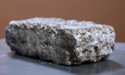 Gạch nấm – giải pháp bền vững cho các công trình tương lai