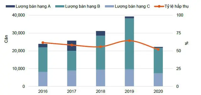 Tình hình hoạt động thị trường căn hộ trong năm năm 2016-2020. Nguồn: Nghiên cứu & Tư vấn Savills