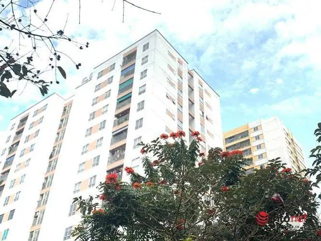 Có thể mất trắng nếu mua nhà xã hội qua hợp đồng ủy quyền, vi bằng