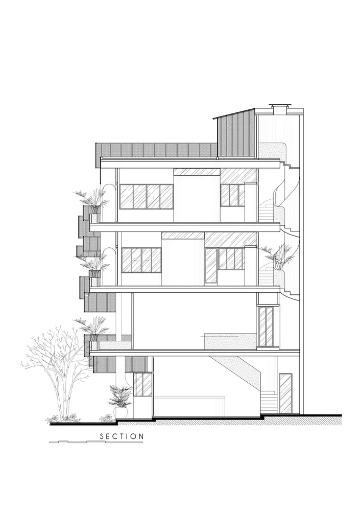 section (1)