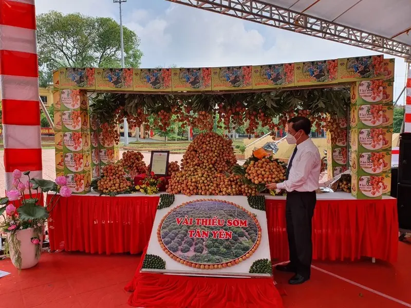 Lãnh đạo huyện Tân Yên rất mong cơ quan báo chí Trung ương, địa phương tiếp tục tuyên truyền về thương hiệu vải thiều sớm Tân Yên với chất lượng, mẫu mã vượt trội, được người tiêu dùng tin dùng