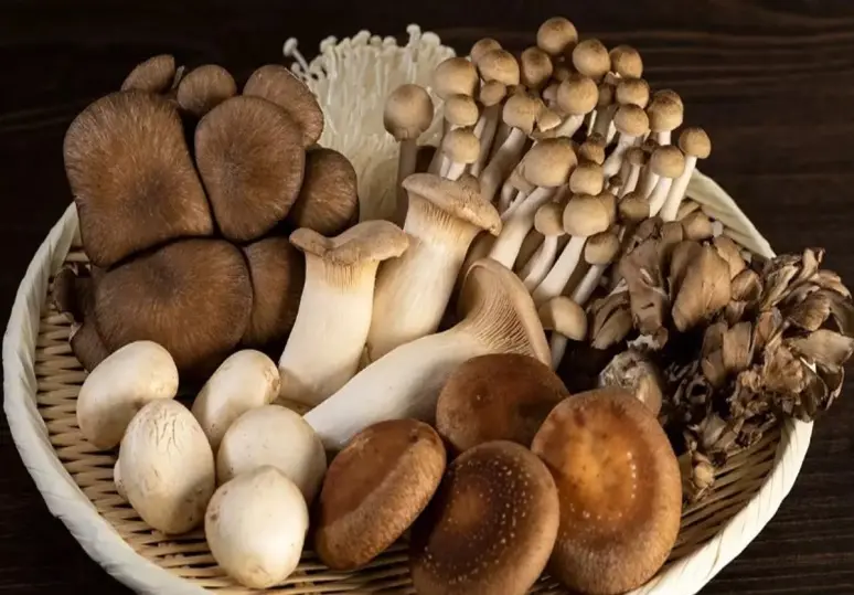 Nấm vốn là một thực phẩm quen thuộc trong đời sống hàng ngày
