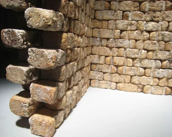 Sợi nấm – giải pháp thay thế cho vật liệu xây dựng trong tương lai