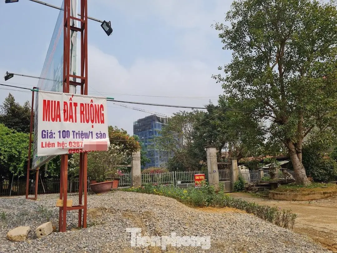 Quý 1/2021 giá đất nền đã xảy ra hiện tượng tăng nóng ở nhiều địa phương nhưng chỉ diễn ra trong thời gian ngắn rồi lắng xuống sau khi chính quyền địa phương kịp thời vào cuộc ngăn chặn