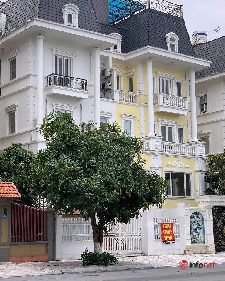 Chính thức thu thuế cho thuê nhà từ ngày 1/8