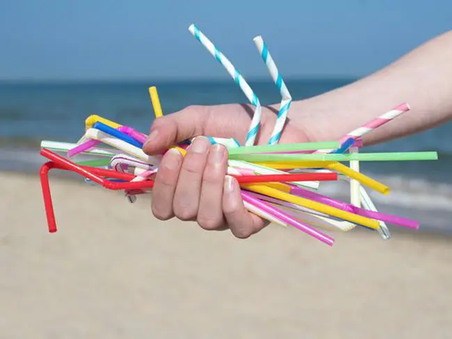 Tọa đàm ‘Thực trạng và giải pháp xử lý rác thải nhựa tại Việt Nam’