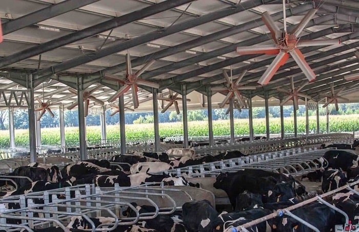 TOMEXCO – Giải pháp làm mát tối ưu cho ngành nông nghiệp