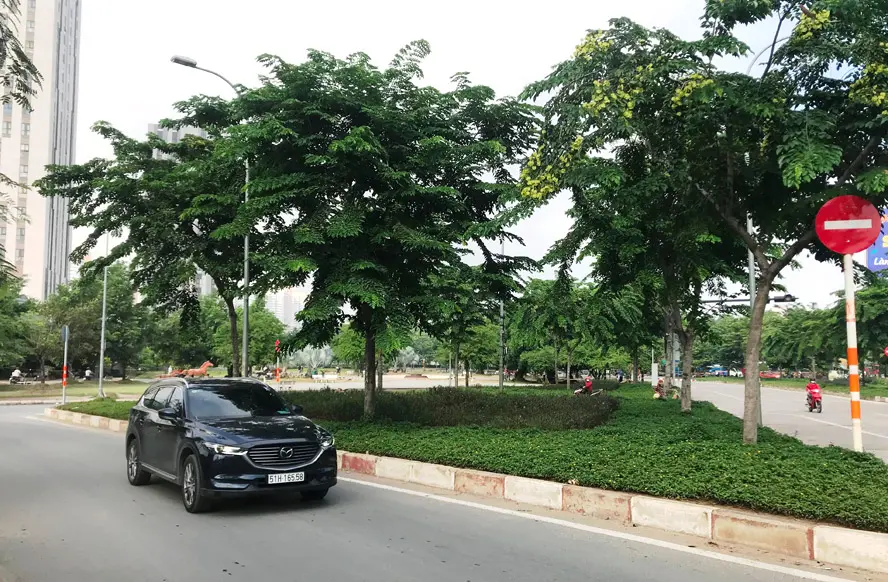 Đẩy mạnh xây dựng công viên, mảng xanh