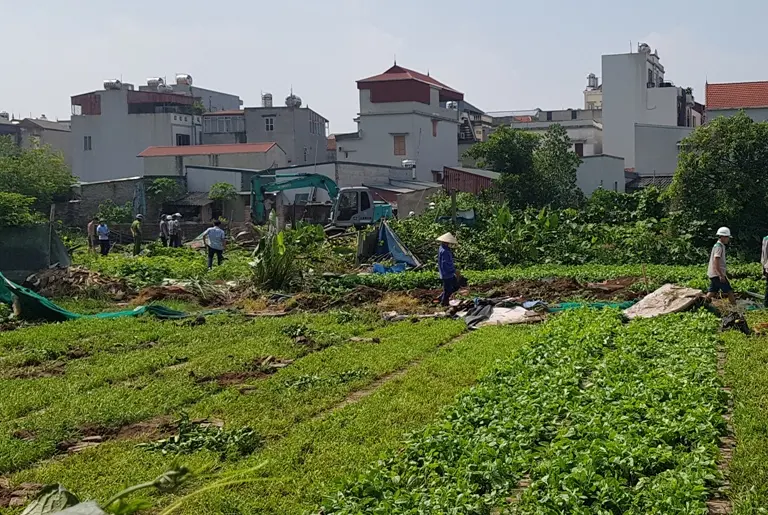 Thủ tướng chỉ thị đẩy mạnh công tác quy hoạch, kế hoạch sử dụng đất các cấp
