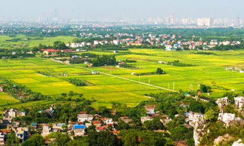 Điều chỉnh quy hoạch tổng thể Thủ đô: Định hình nông nghiệp Hà Nội thế nào?
