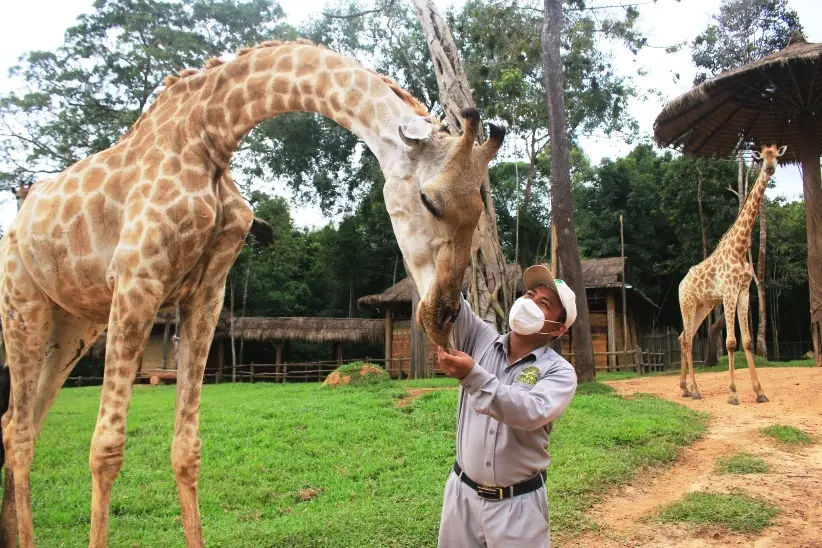 Hé lộ phút chào đời của những “bé” sơ sinh nửa.. tạ tại công viên hoang dã lớn nhất Việt Nam