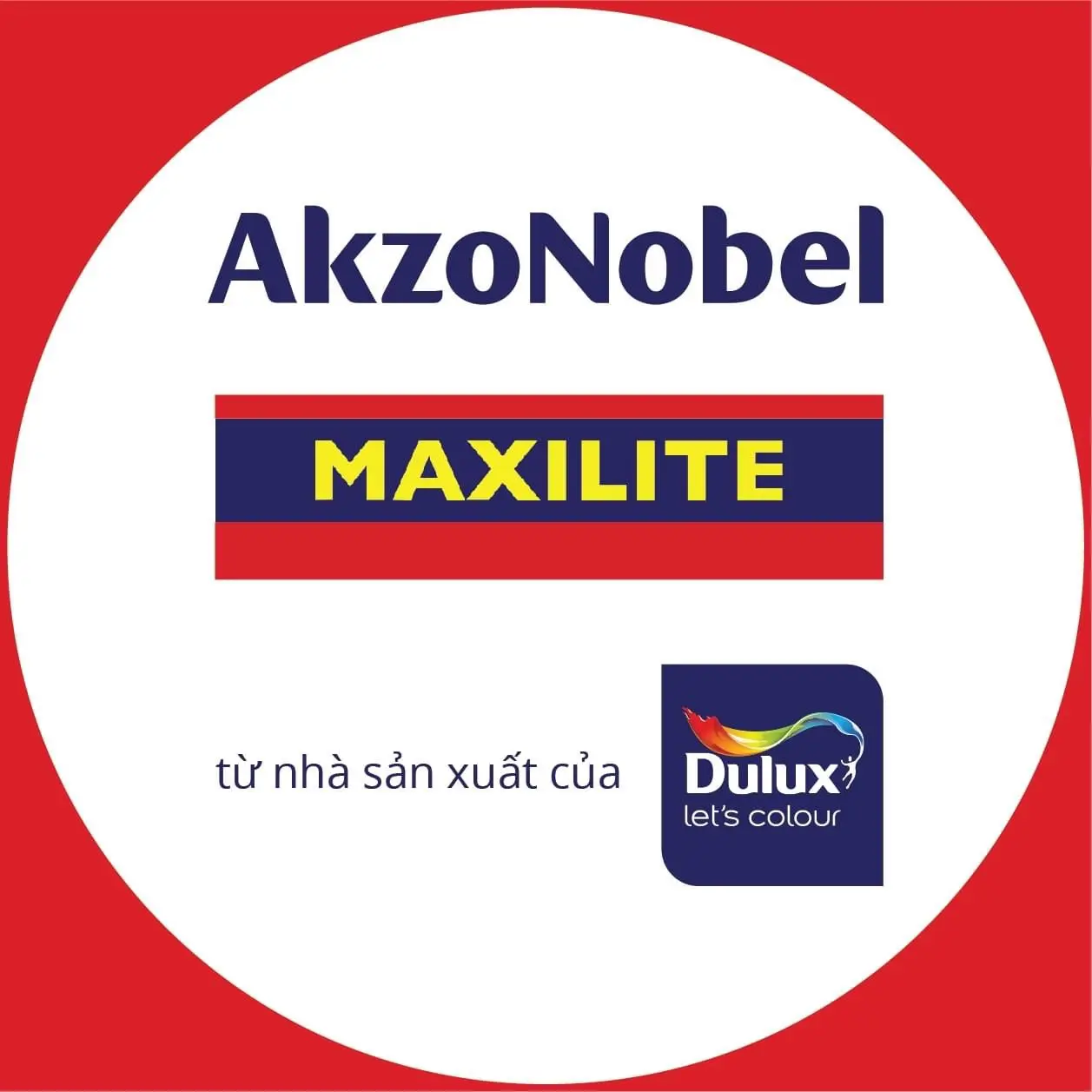 Maxilite và những điều thú vị ít người biết