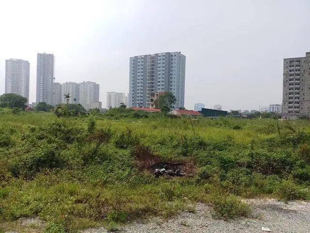 Lập đoàn kiểm tra các dự án đất đã được gia hạn nhưng chưa sử dụng