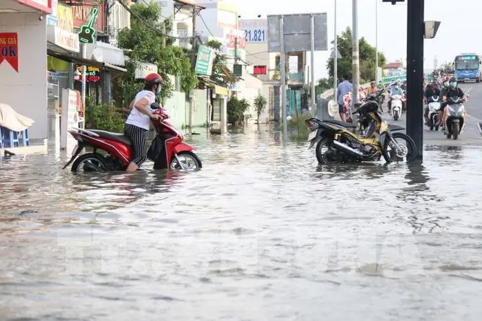 TPHCM đề xuất đưa biến đổi khí hậu vào quản lý quy hoạch