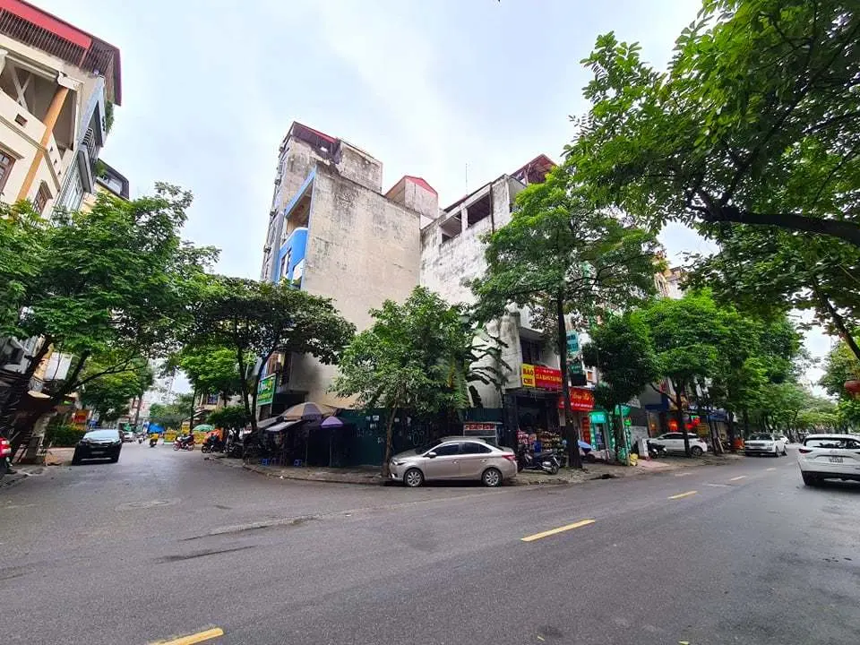 Liên tục bỏ cọc sau đấu giá đất, Hà Nội, TPHCM chưa báo cáo rà soát