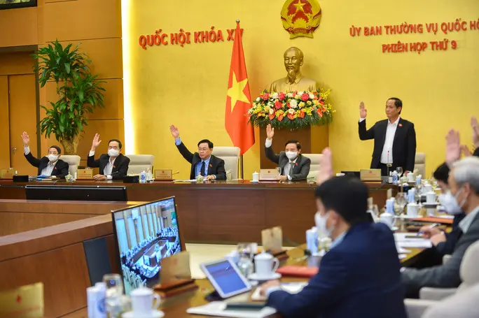 Trúng đấu giá đất rồi bỏ cọc: Cần có chế tài đủ mạnh