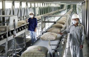 VABM thông báo tổ chức Hội thảo “Phát triển ngành VLXD Việt Nam trong điều kiện bình thường mới”